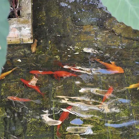 Logis Noemys Hotel Gradignan